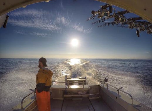 Halibut fishing on the Cook Inlet, Alaska