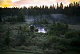 Our back yard at our Alaskan fishing lodge