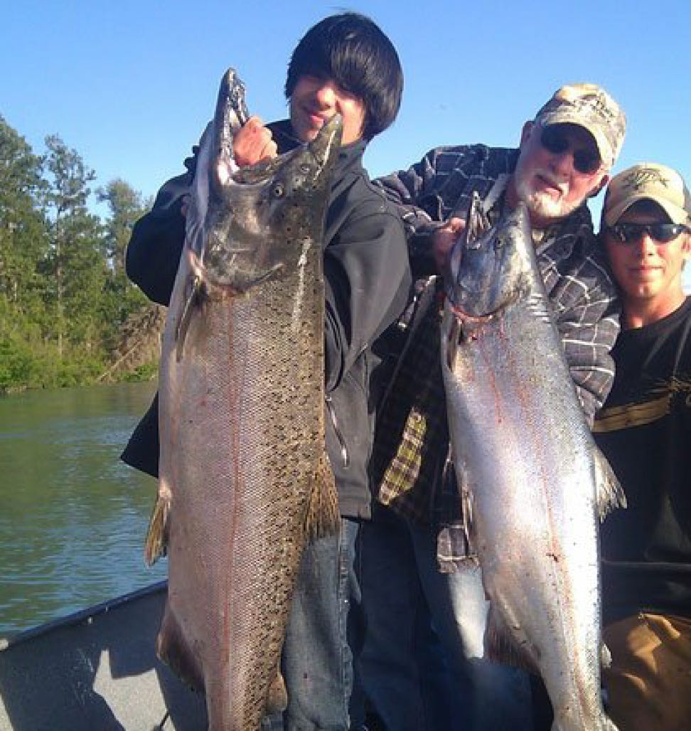 Nice catch of Alaskan salmon