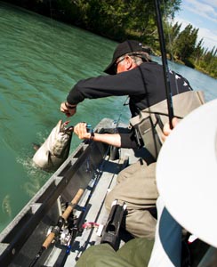 view more: http://gainsboro.pass.us/crookedcreek
