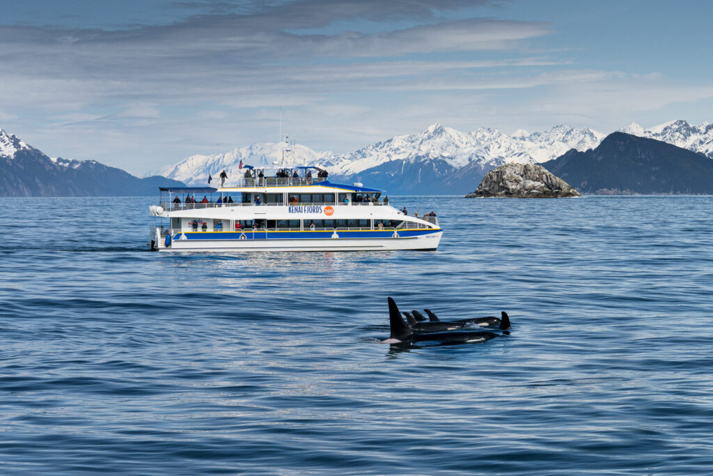 Major Marine Tours